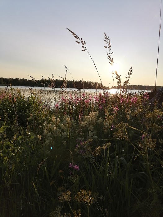 www.heinipajala.fi